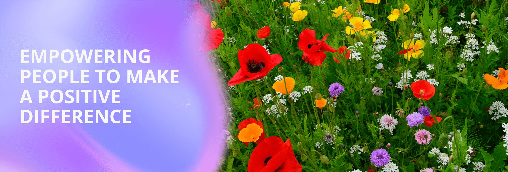 On the left there is a purple gradient with a text overlay that says empowering people to make a positive difference. On the right is a photograph of wild flowers.